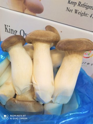 BOCZNIAK MIKOŁAJKOWY - KRÓLEWSKI - ŚWIEŻY - 1kg