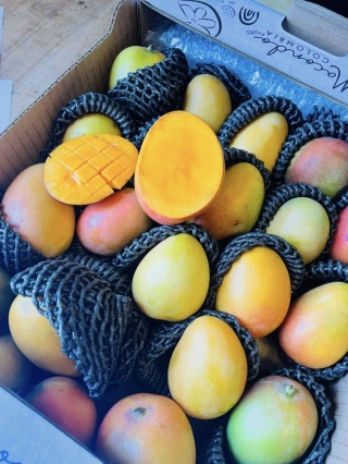 "Cukierkowe" baby mango samolotowe 1kg - Columbia