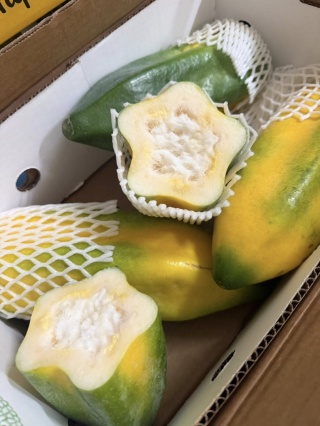 Górska świeża papaya, papaja , Mountain Papaya lub Chamburo , Papayuela, - 1 sztuka