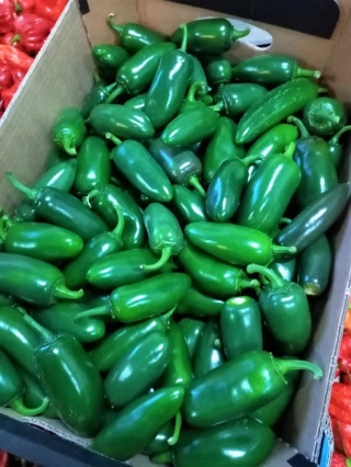 Jalapeno ostra zielona świeża 500g- Holandia