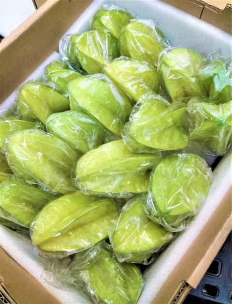 KARAMBOLA świeża 2kg (ok 20-24szt) do drinków