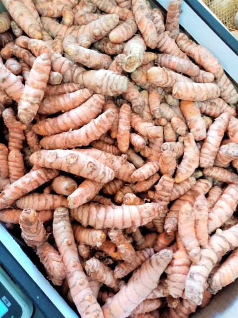 KURKUMA ŚWIEŻA korzeń - 1 kg