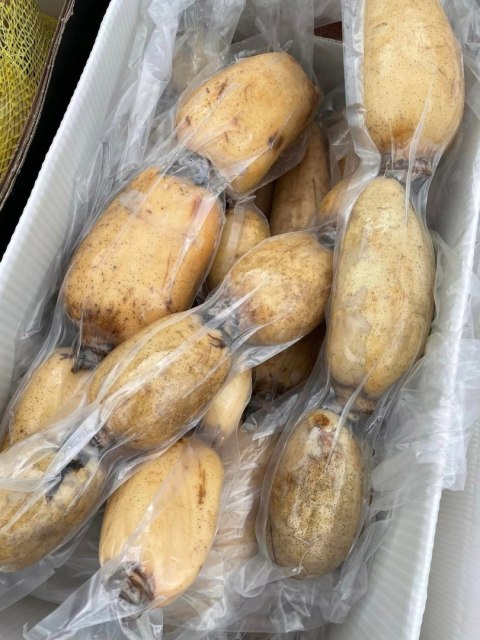 Lotus Root, świeży korzeń Lotosu 1kg- wszechstronny w kuchni