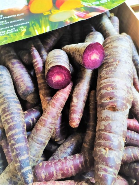 Marchew fioletowa świeża 500g - Holandia