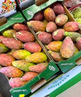 OPUNCJA FIGOWA ŚWIEŻA 1kg , OWOC KAKTUSA - Meksyk