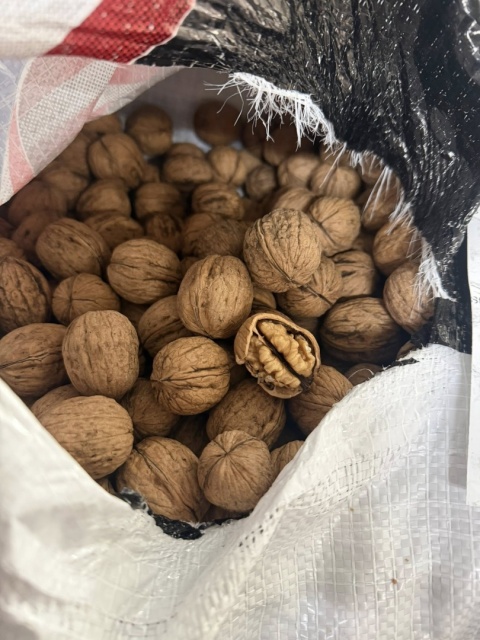 Orzechy włoskie ze słonecznej Kalifornii 1 kg z łupiną