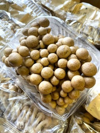 SHIMEJI brązowe świeże grzyby 150g - paczka