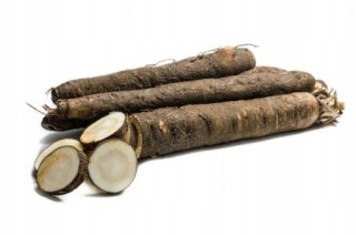 SKORZONERA świeża 5 kg - PYSZNA jak szparagi