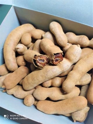 SŁODKI TAMARYNDOWIEC 20 opak po 450g - desery, sosy, cukierki ( cały karton)