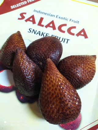 Salak świeży 500g " wężowy owoc" - uwielbiany przez dzieci Indonezja